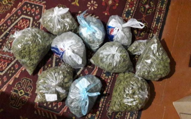 kramatorchanka hranila 4 kg konopli