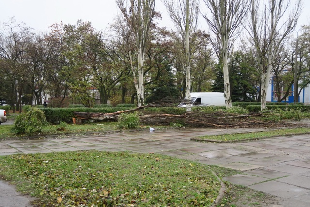 upalo derevo kramatorsk 1