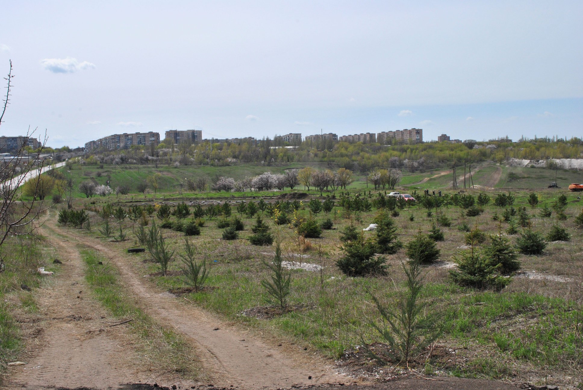 31416814 1223112821152450 7678381041018470400 o