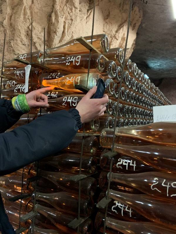 zavod shampanskih vin bahmut18