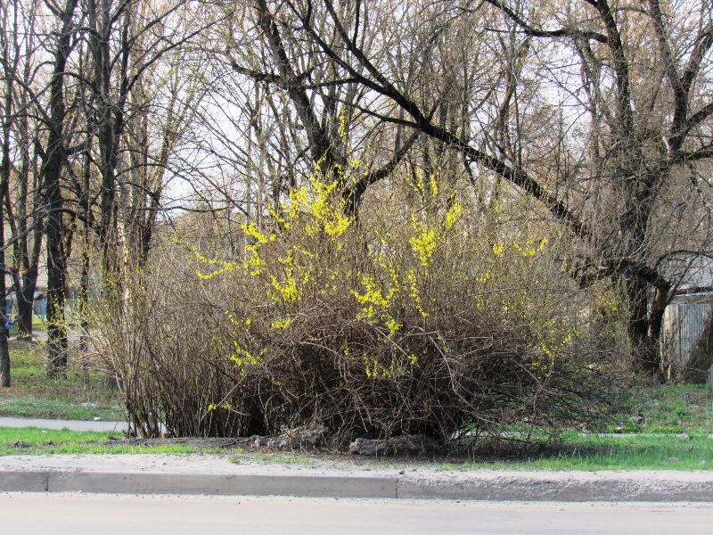 kramatorsk gazoni.JPG3