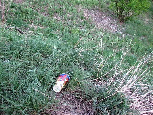 cto ostavlyajut posle sebya na prirode kramatorchane 11