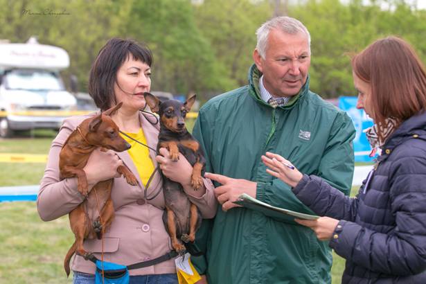 vistavka sobak v kramatorske 2