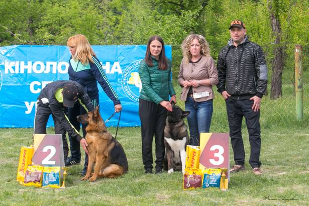 vistavka sobak v kramatorske 3