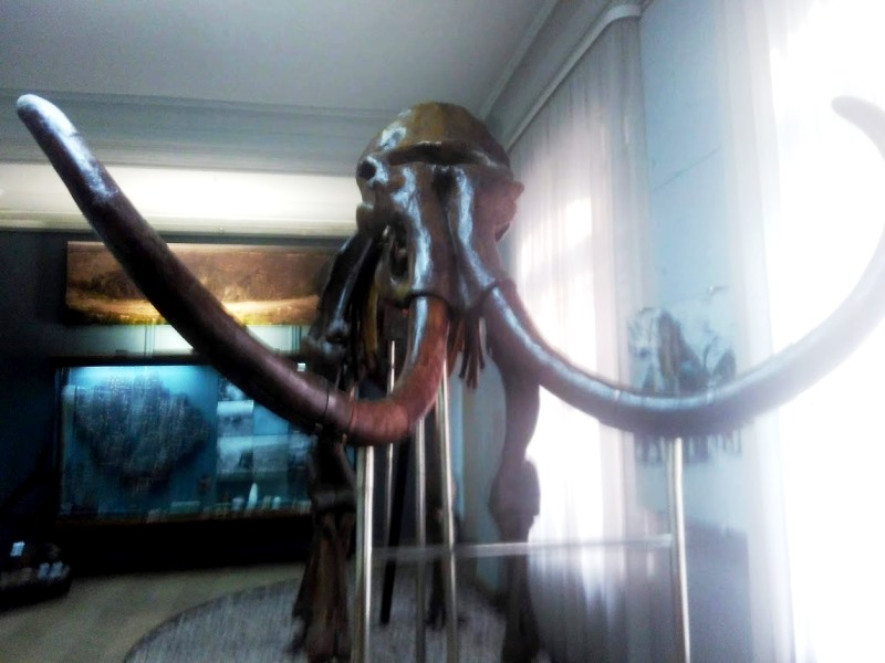 kramatorsk poltava.jpg18.jpg4