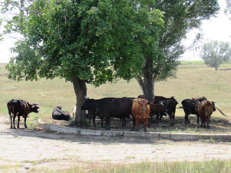 kramatorsk sorevn kvadr.JPG2