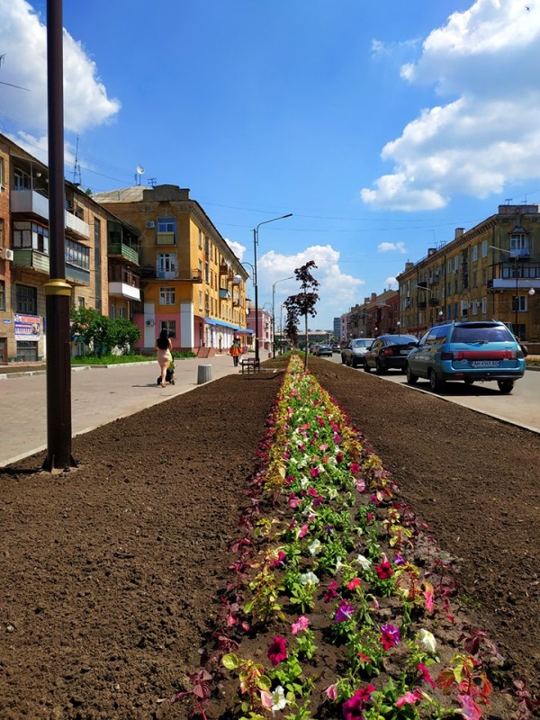 petunii v kramatorske.jpg2