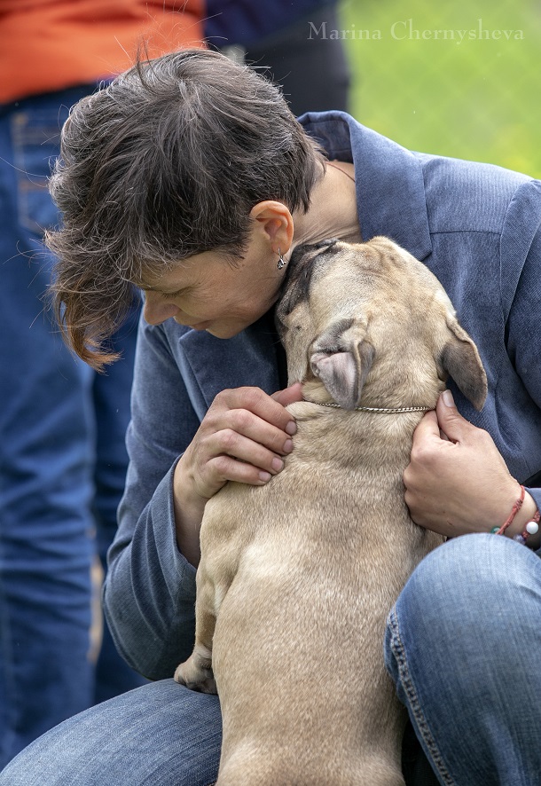V Kramatorske proshla Vseukrainskaja vystavka sobak ranga SAS UA 3