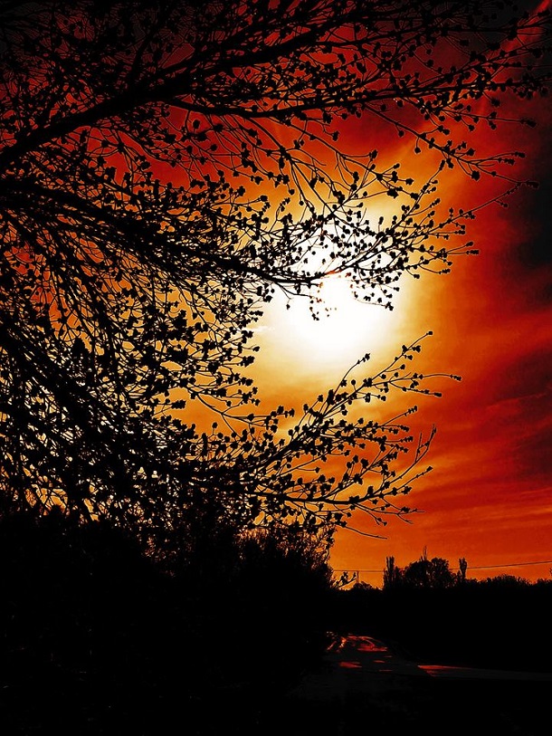 56673082 305140093715308 5580940182992977920 n