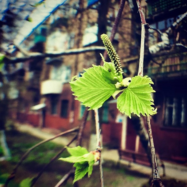 56721478 2586050031423518 7747170220778717184 n