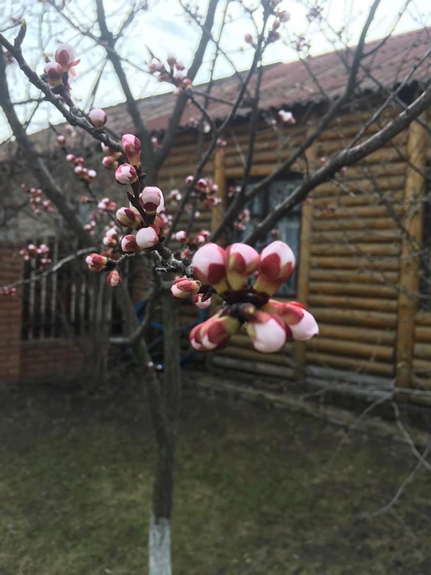 57072650 833691733651597 3685196370781667328 n