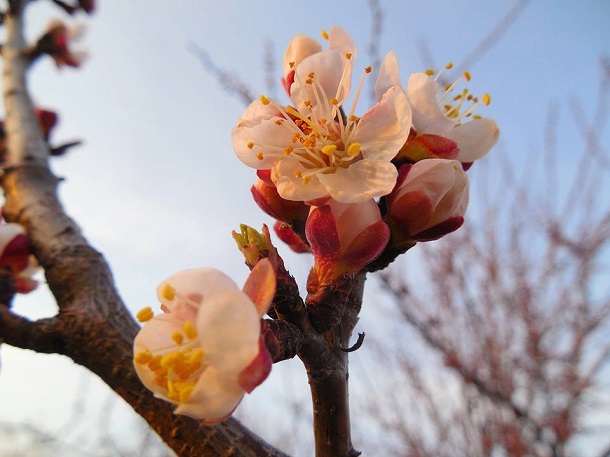 57240531 2048321581945772 2404516824822579200 n