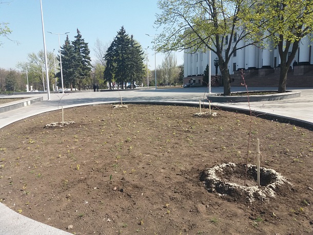 V Kramatorske nachinaetsja ozelenenie ploshhadi Mira 6