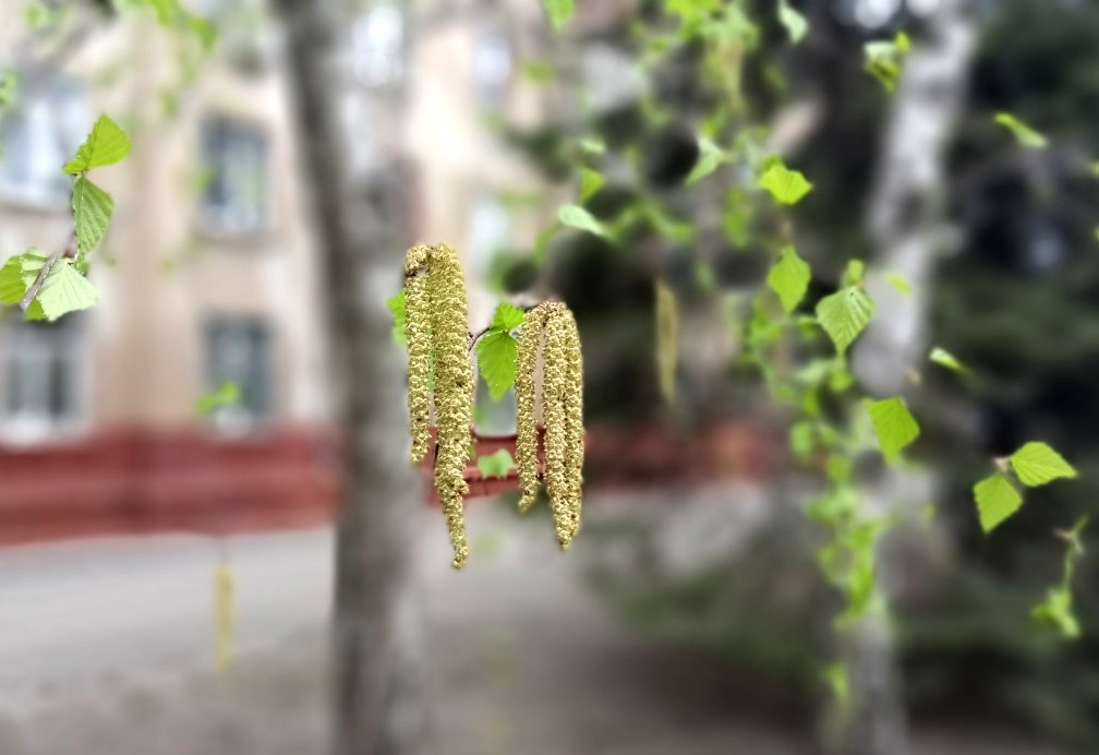 viber image 2019 04 11 13.06.33