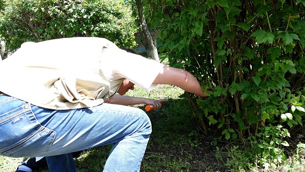 V detskom sadu Kramatorska pojmali zmeju 1