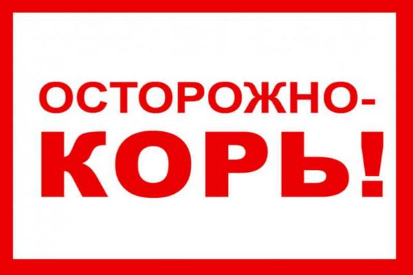 kor