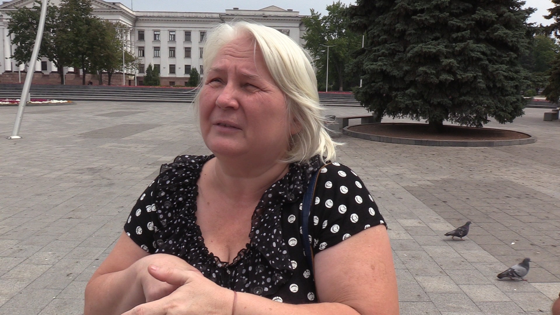 67093124 1834809126662475 2793733263766585344 n