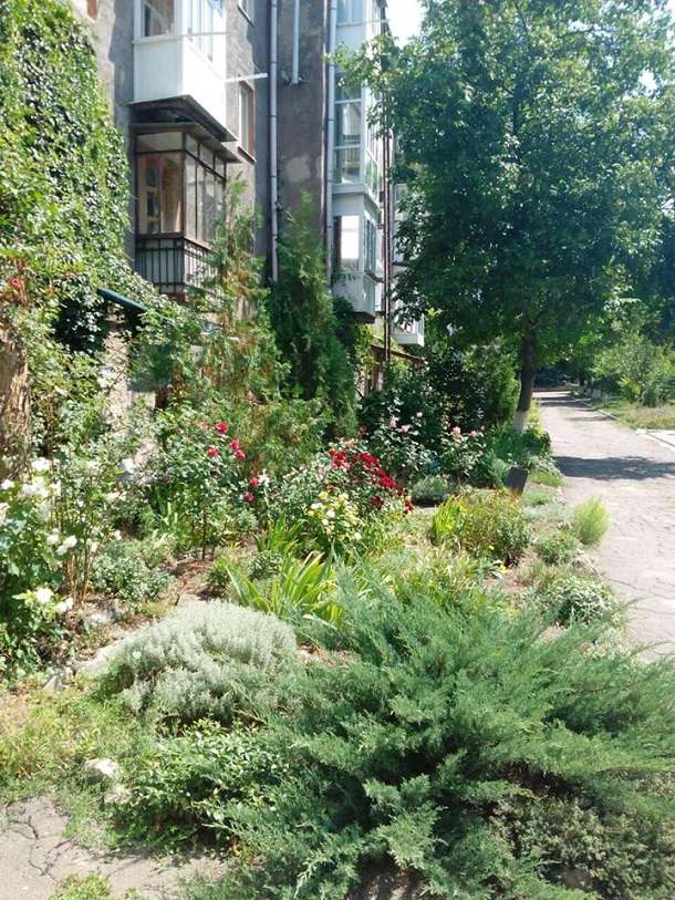 V Kramatorske vandaly razrushajut sportivnye ploshhadki 5