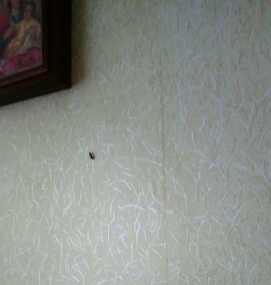terapija stankostroj kramatorsk.jpg3 terapija stankostroj kramatorsk.jpg3