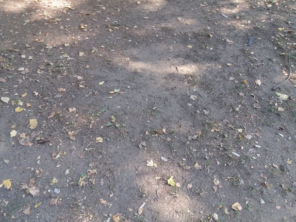 V Kramatorske kosjat pyl 1