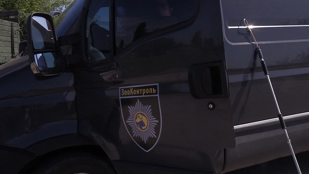V Kramatorske v techenie mesjaca est vozmozhnost besplatno privit o... V Kramatorske v techenie mesjaca est vozmozhnost besplatno privit ot beshenstva i sterilizovat bezdomnyh sobak 13