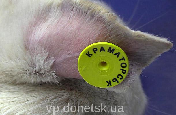 V Kramatorske v techenie mesjaca est vozmozhnost besplatno privit o... V Kramatorske v techenie mesjaca est vozmozhnost besplatno privit ot beshenstva i sterilizovat bezdomnyh sobak 2
