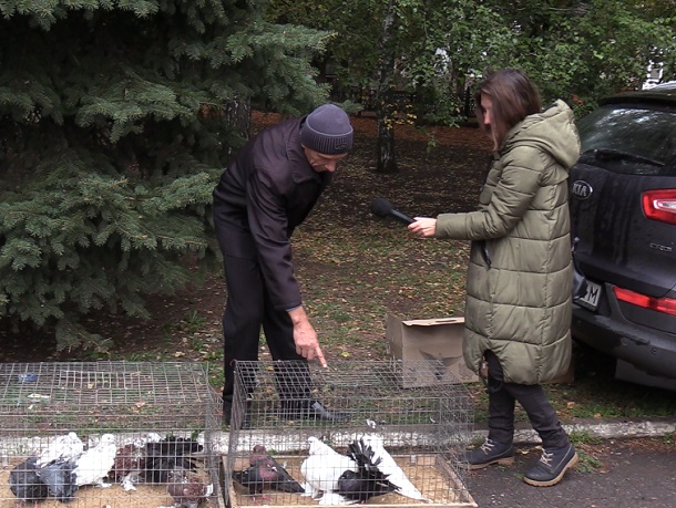 V Kramatorske na vystavke ptic mozhno kupit pavlina 8