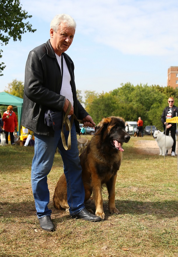 V Kramatorske proshla vystavka sobak gorodskogo otdelenija KSU 10