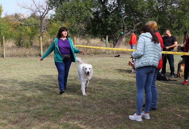 V Kramatorske proshla vystavka sobak gorodskogo otdelenija KSU 11