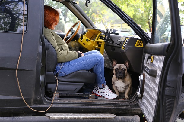 V Kramatorske proshla vystavka sobak gorodskogo otdelenija KSU 13