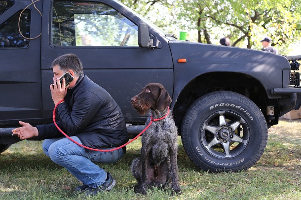 V Kramatorske proshla vystavka sobak gorodskogo otdelenija KSU 14
