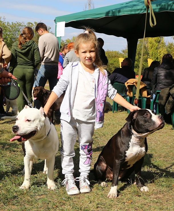 V Kramatorske proshla vystavka sobak gorodskogo otdelenija KSU 15