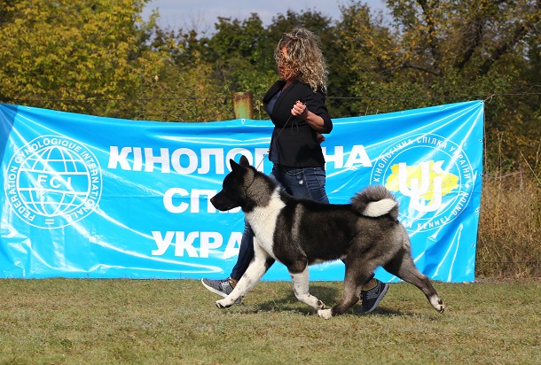 V Kramatorske proshla vystavka sobak gorodskogo otdelenija KSU 18
