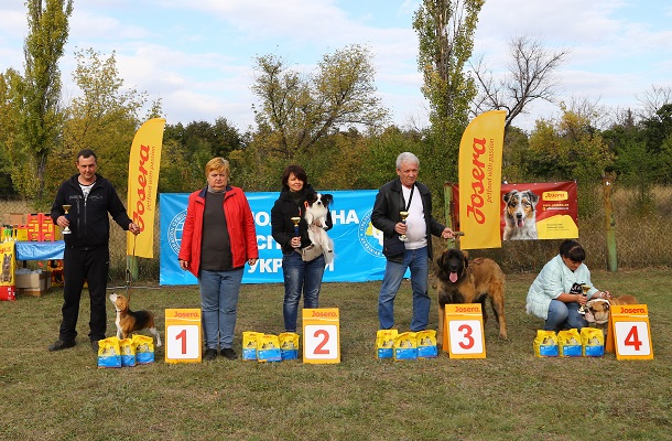 V Kramatorske proshla vystavka sobak gorodskogo otdelenija KSU 19