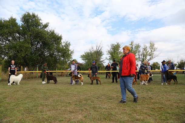 V Kramatorske proshla vystavka sobak gorodskogo otdelenija KSU 20