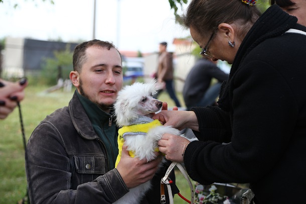 V Kramatorske proshla vystavka sobak gorodskogo otdelenija KSU 3