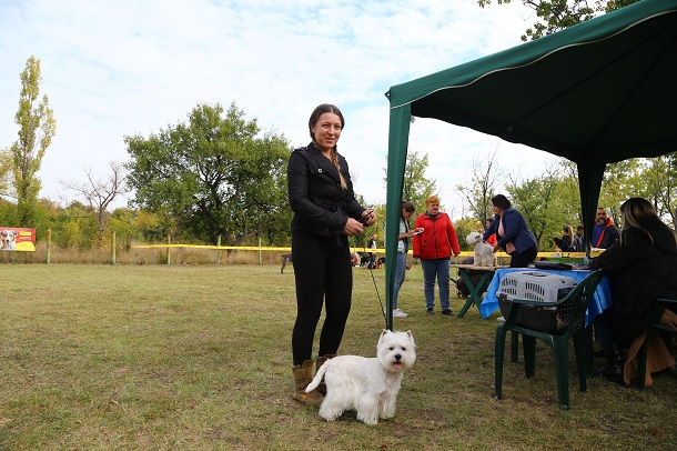 V Kramatorske proshla vystavka sobak gorodskogo otdelenija KSU 4