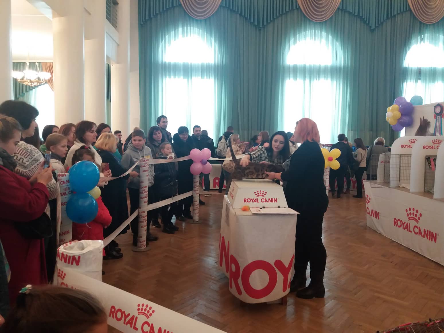 vystavka koshek kramatorsk 20195