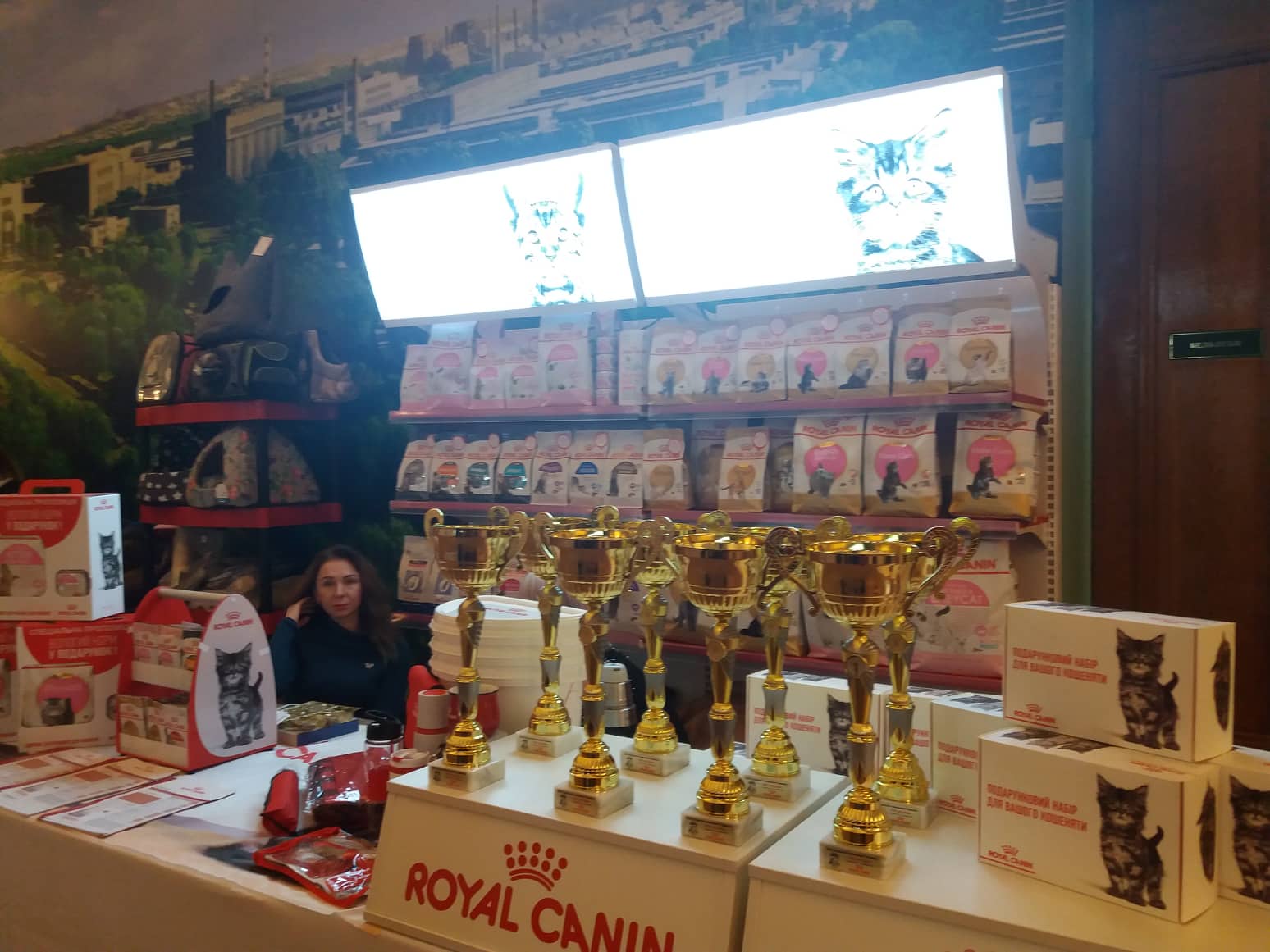 vystavka koshek kramatorsk 20196