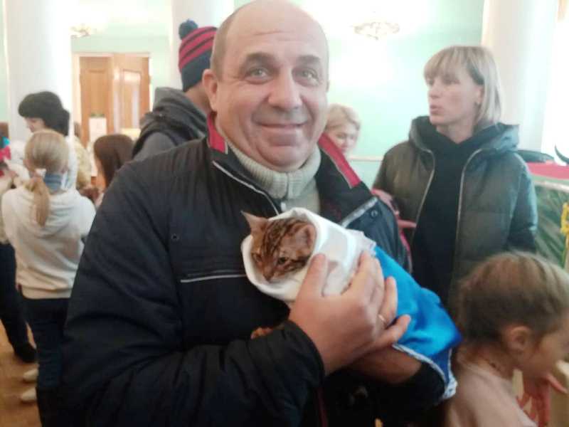 vystavka koshek kramatorsk 20199