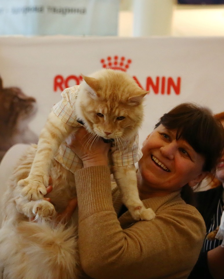 vystavka koshek kramatorsk 2019 10 1