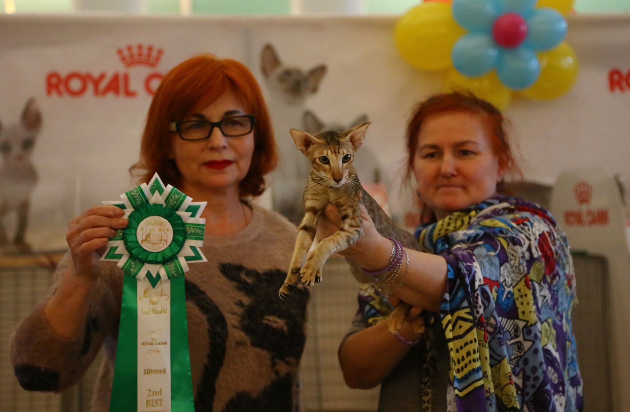 vystavka koshek kramatorsk 2019 10 5