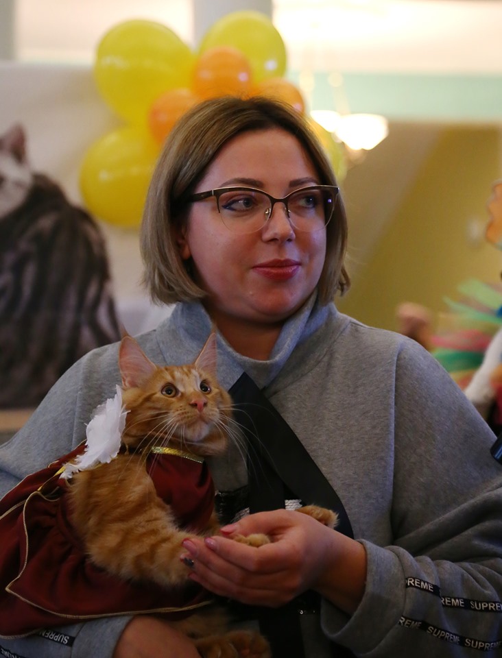 vystavka koshek kramatorsk 2019 10 6