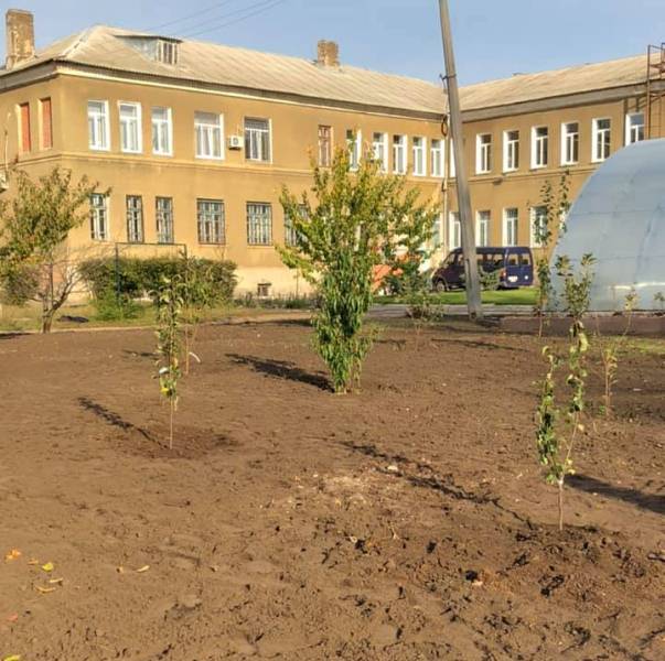 vysadka sada kramatorsk6