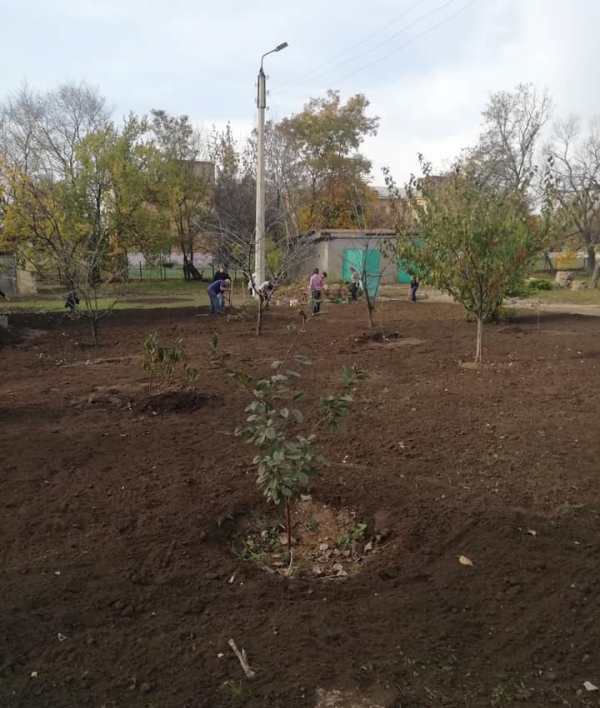 vysadka sada kramatorsk7