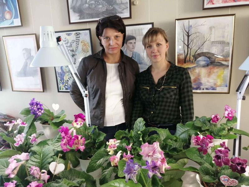 vystavka fialok oktjabr kramatorsk2