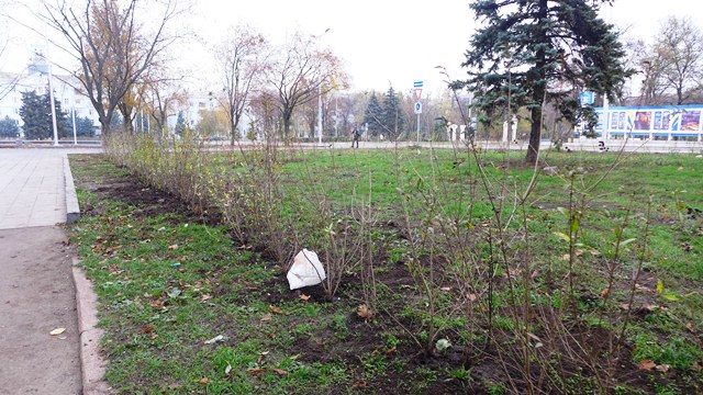 ozelenenije kramatorsk 11
