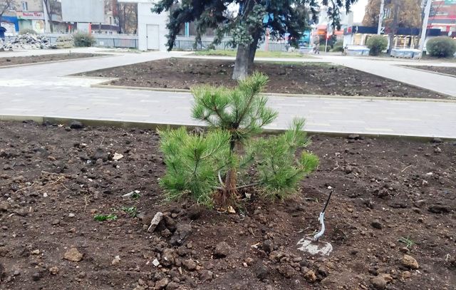 ozelenenije kramatorsk 8