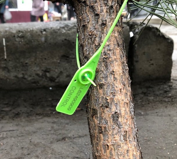 V Kramatorske otkrylsja elochnyj bazar 44