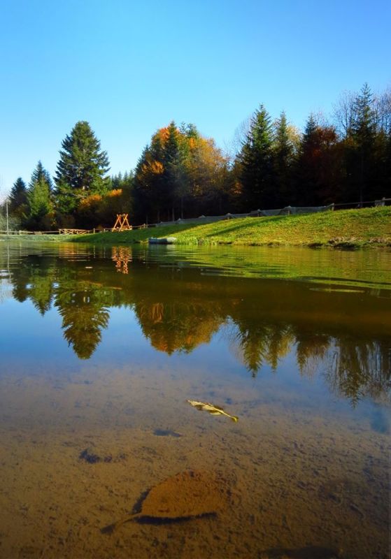 junye fotografy kramatorska.jpg1